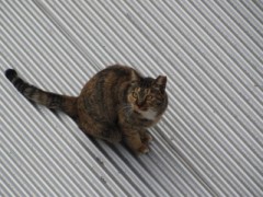 感じる熱いまなざし