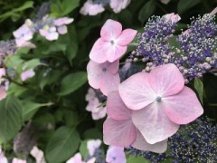 【お題日記】禁煙・喫煙してますか？