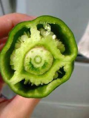 こんなんでました!!