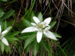 今日も仕事でした