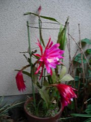 タイミング合わず。。。。