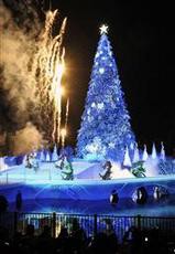 世界一の光　　ギネスに