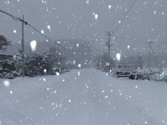 すごいのが　くるよ～～～