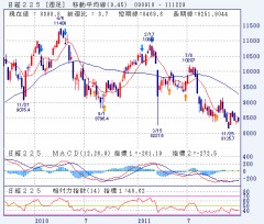 激動の一年でした