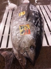 史上最高値5649万円