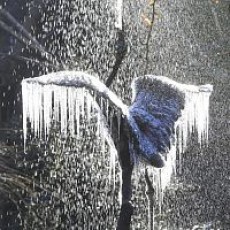 きょうれつ　ですね。。ブルブル