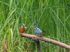 アーンして むかしラブラブ。。。。。。。。。。