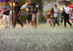 すごいことに　なりそう。。。。。。。。。。。。。