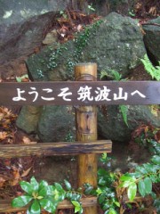 なめたら　あかんよ