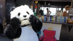 たいへん！　今そこの店でパンダが働いてた！！！！