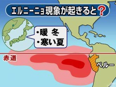 今年の冬は。。。。。。。。