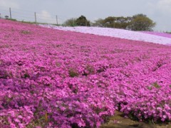 連休で出費かさんだ人に？？　朗報？？チャレンジ？？