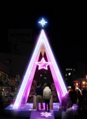 今年もやってきました　　　　　　　きらびやかに～～～～