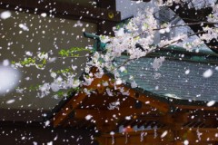 びゅ～～～～　　すごかったですね