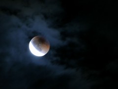 見てますか？？？？？　　　3年ぶり～～～～