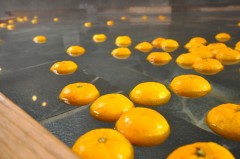 今年は　19年に1度しか訪れない　特別な日