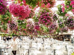 どんなのが好き？？