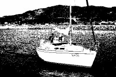 いやな梅雨が始まりました