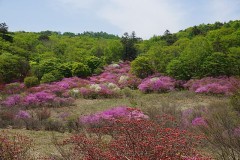 MONの有効期限が近づいています