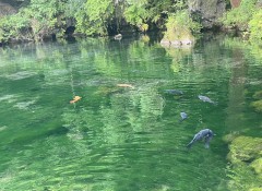 あっちゅいねー【お題日記】使ってないけど今も解約してないサービス