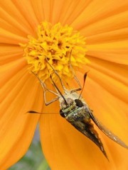 【お題日記】一人でしたくなる時間帯