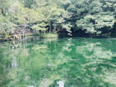好きな場所