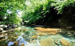 木の俣渓谷【お題日記】ATMでの手数料気にしてる？