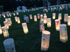 ゆらゆら、チカチカ