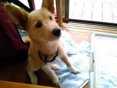 春の訪れが感じられるこの数日。