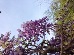 【お題日記】GWに撮った思い出の一枚を見せて!