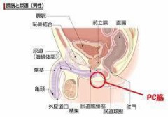 【お題日記】Ｈのためのトレーニングしてる？