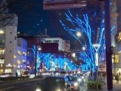 【お題日記】今年も後1ヶ月、どう過ごす？