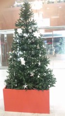 スキーかスノボー