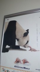 白浜アドバンチャーワールド