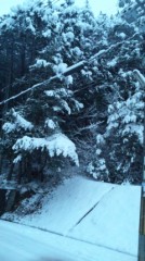 又、吹雪いてます。