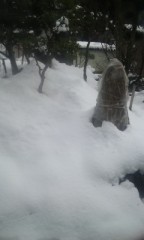 雪が積もってます。