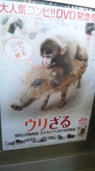 うり坊とみわちゃん