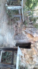 こんにちは(^-^*)/