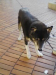 いい加減にして、イライラする。