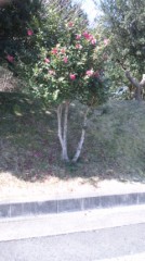 【お題日記】電車の遅延、どのくらい我慢できる？