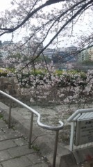 【お題日記】おうちルールってある？