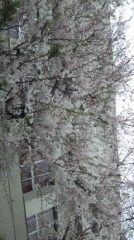 今日と明日は、