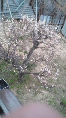 【お題日記】やさしくしようと思う時