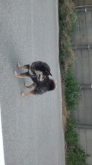 【お題日記】テレビのチャンネルを変えるとき