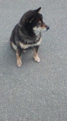 高校の同窓会に、行きたくないわ。