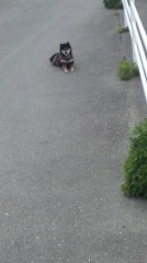 【お題日記】あなたが一番にこだわるのはどんなこと？