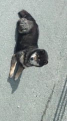 ＧＷどうするの？