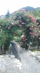 【お題日記】明日からのゴールデンウィークどこか行く？