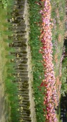 【お題日記】「気まずいなぁ」と思う瞬間