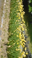 【お題日記】学生の頃の部活動